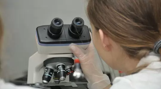 Nagrodzono laureatów Miejskiego programu stypendialnego dla studentów i doktorantów 