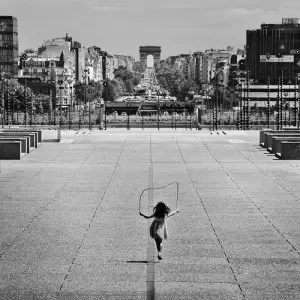 VIII Lubelskie Dni Fotografii 